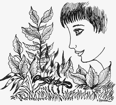 Javier Tafur González